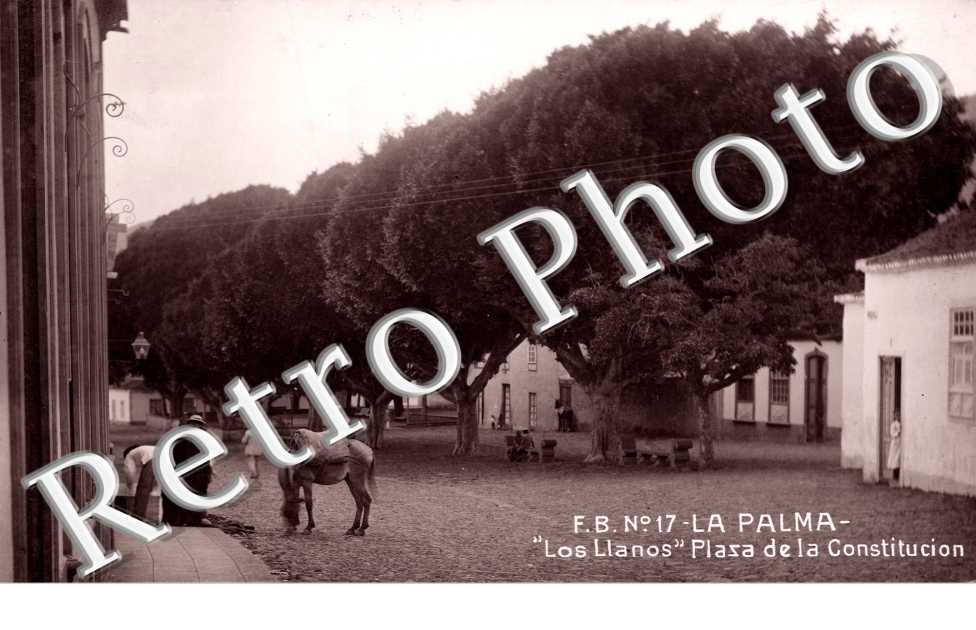 Plaza de la Constitucion