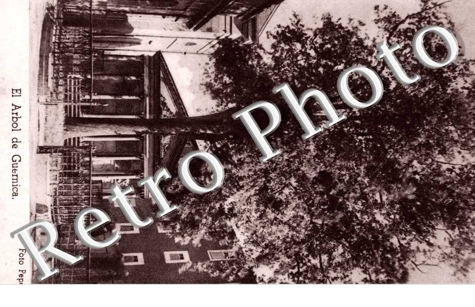 El Arbol