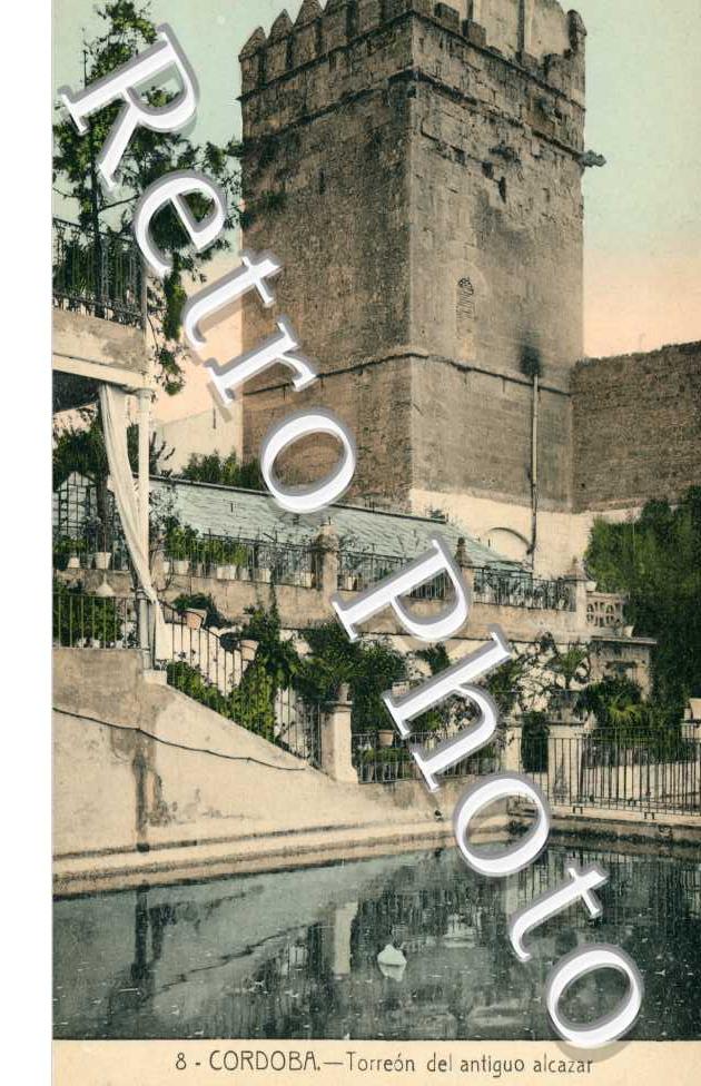 Terreon del Antigup Alcazar