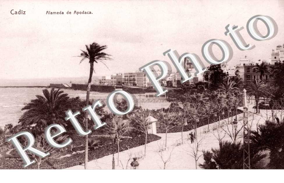 Alameda de Apocada