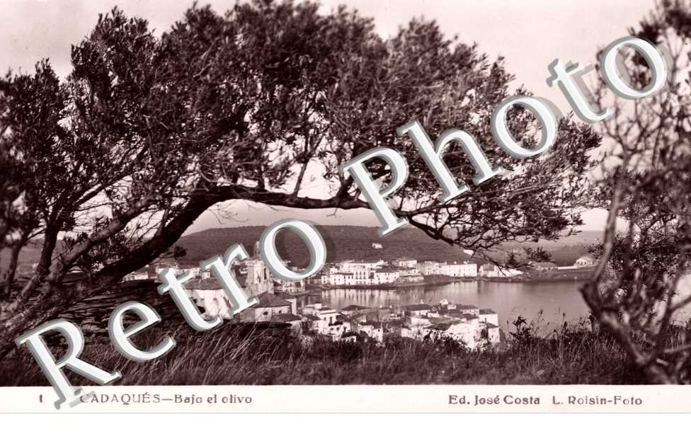 bajo el olivo