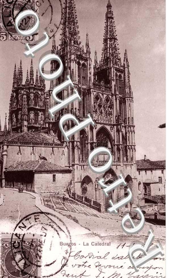 la Catedral