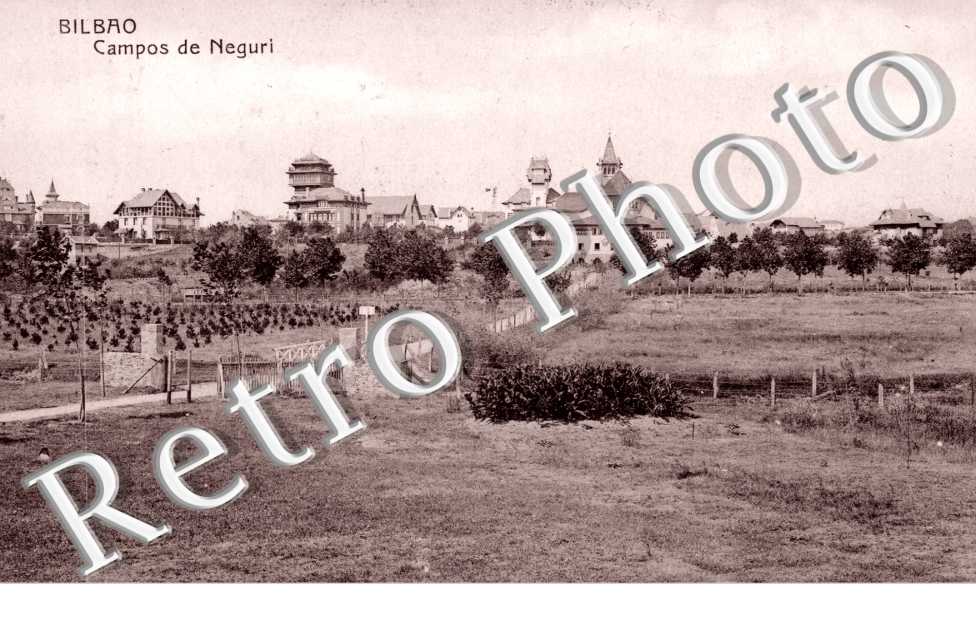 Campos de Neguri