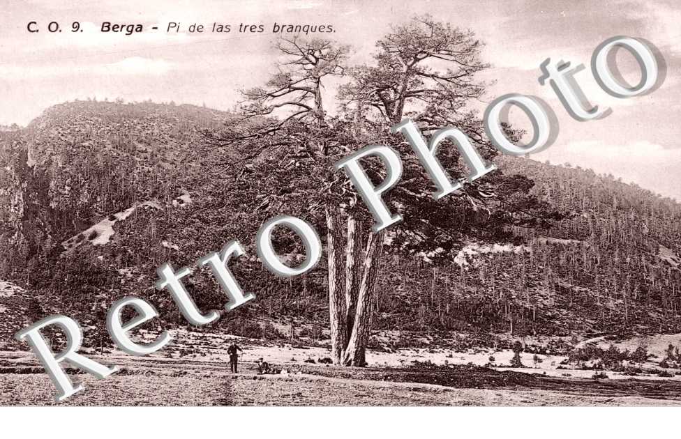 Pi de las tres branques