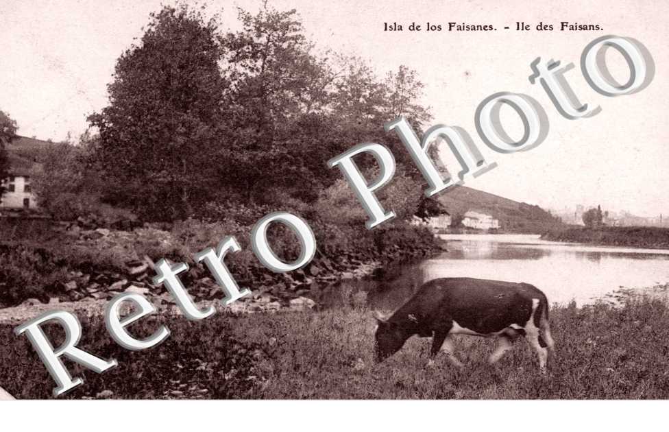 isla de los Faisanes