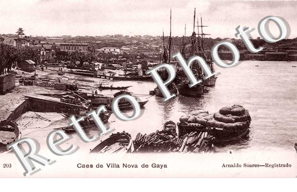 Caes de Villa Nova de Gaya