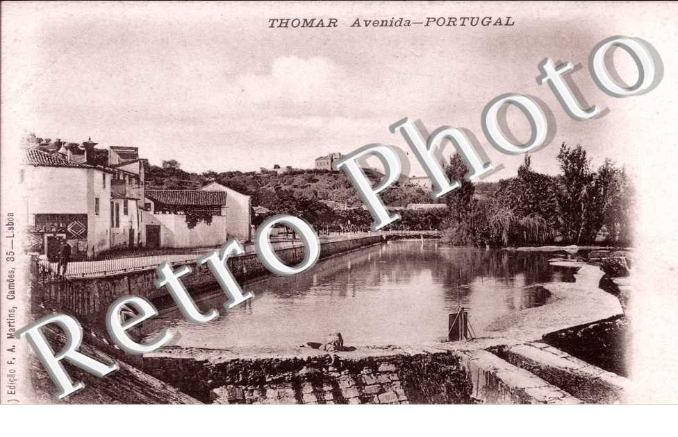 Avenida