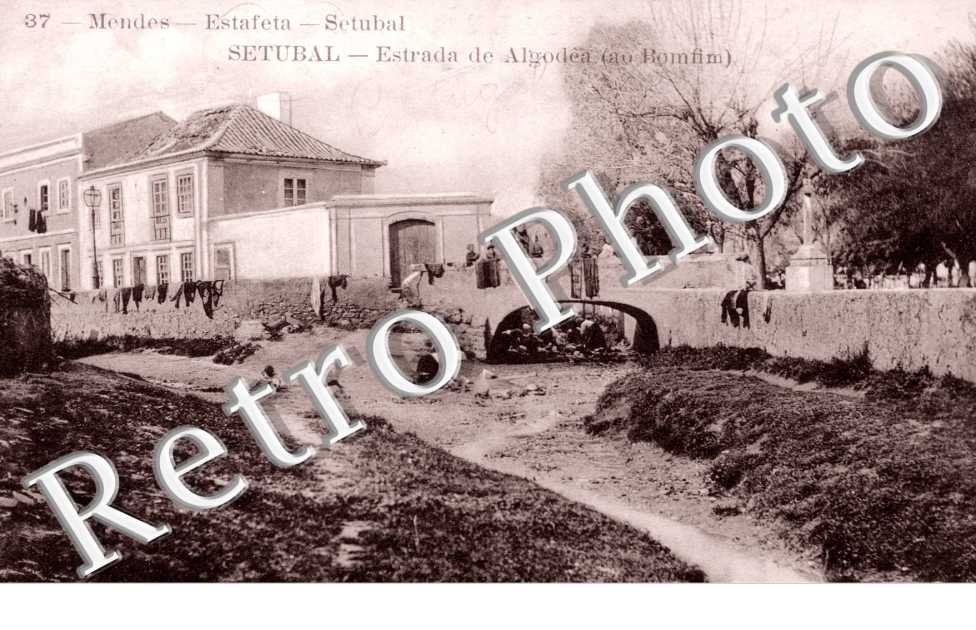 Estrada de Algodea