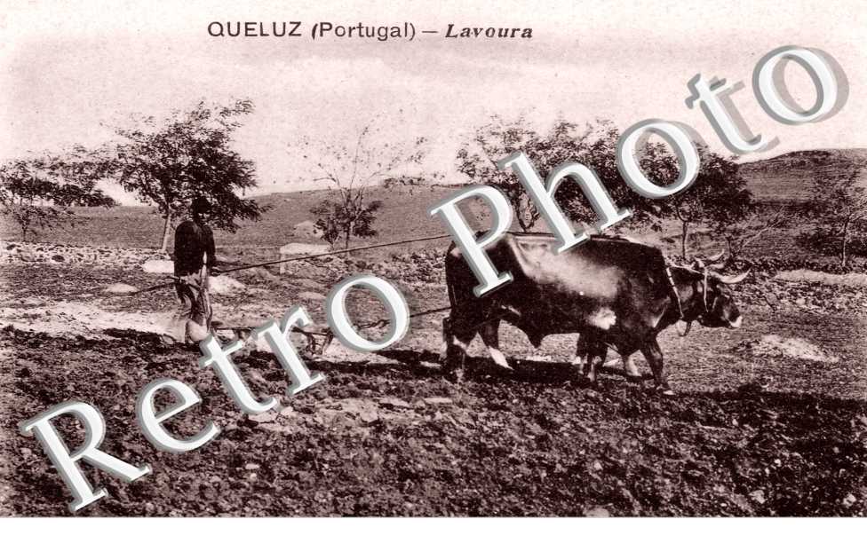 Lavoura