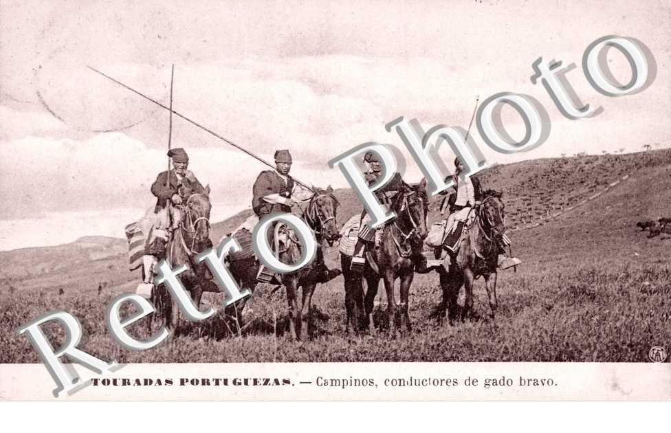 Campinos, conductores de gado bravo