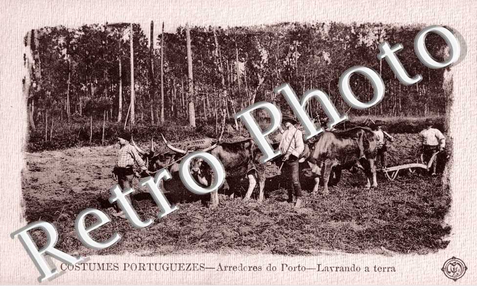 Costumes Portuguezes, Arredores do Porto, Lavrando a terra