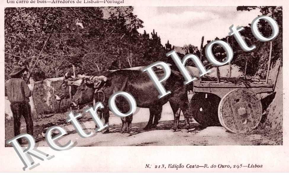 Um carro de bois, Arredores de Lisboa