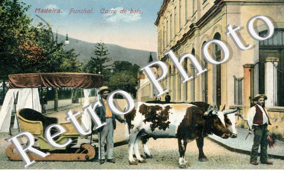 Carro de bois