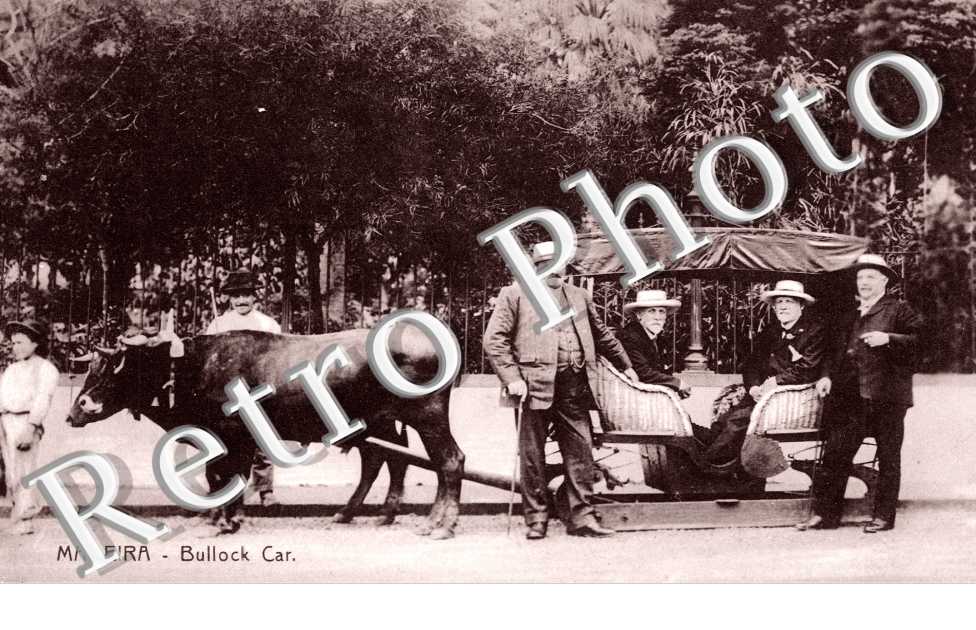 Bullock car