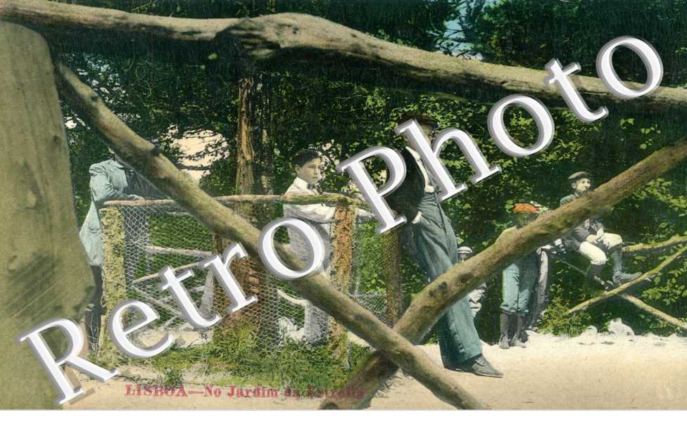 No jardim da Estrella