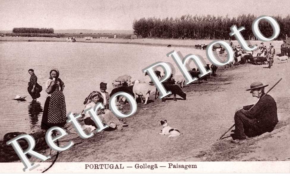 Paisagem
