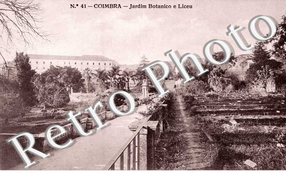 Jardim Botanico e Liceu