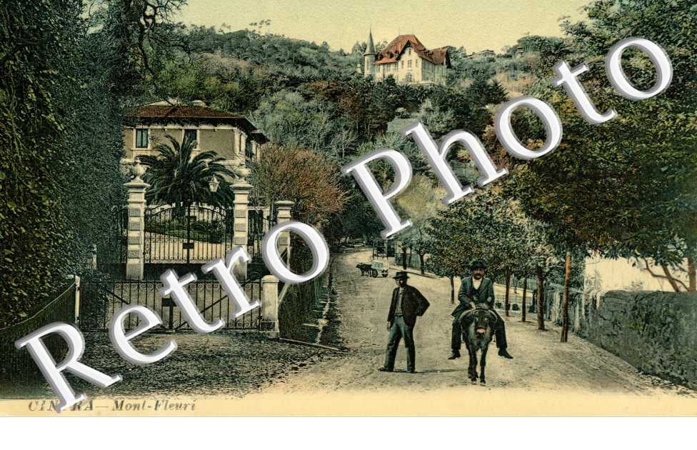 Mont-fleuri