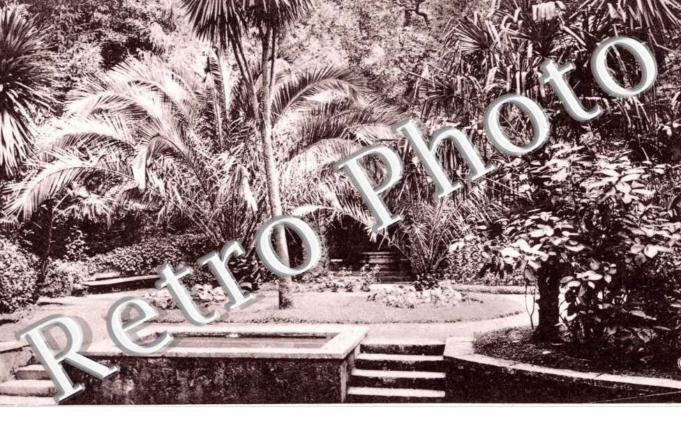 fonte de Santo Elias