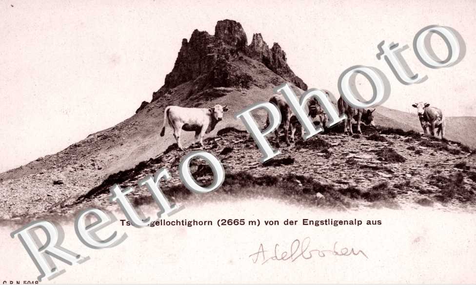 Tschingellochtighorn von der Engstligenalp aus