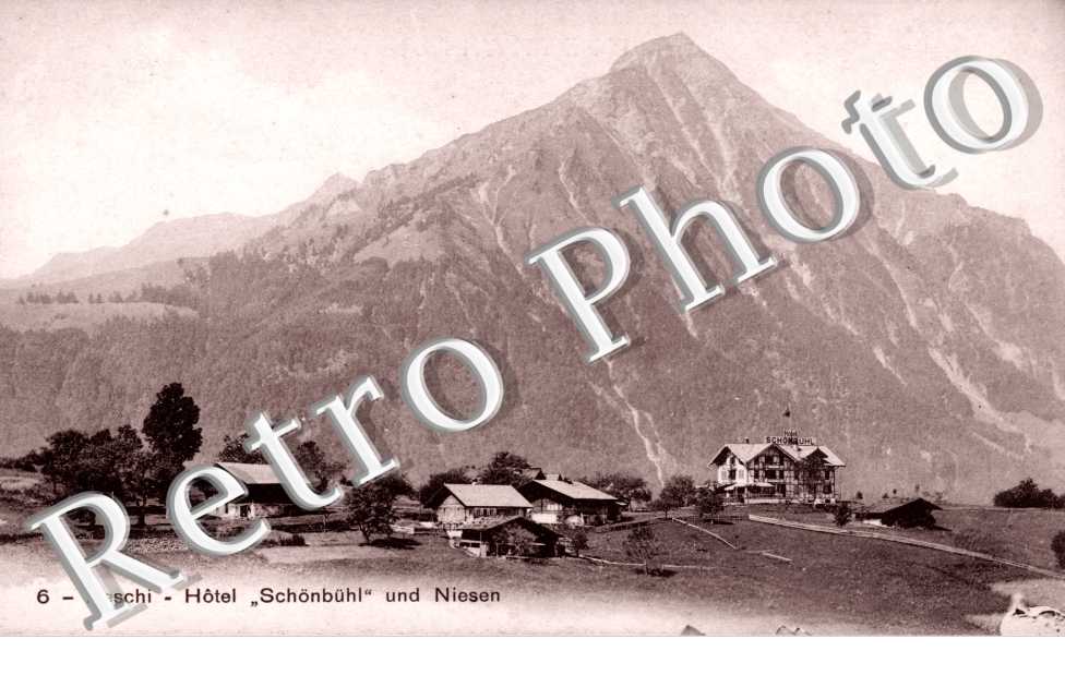 Hotel "Schonbuhl" und Niesen