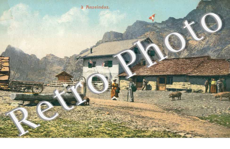 Vue generale
