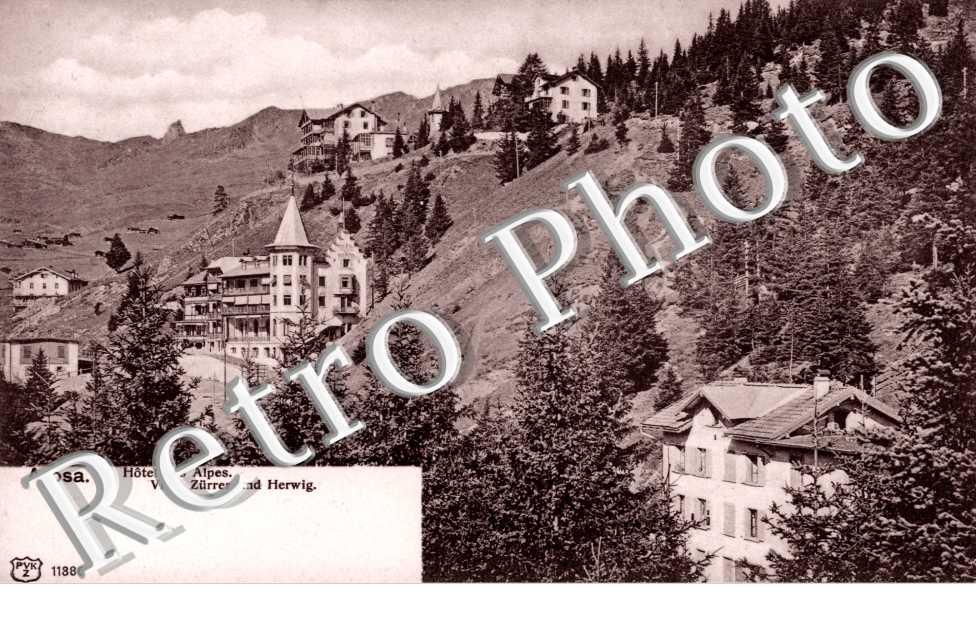 Hotel des Alpes