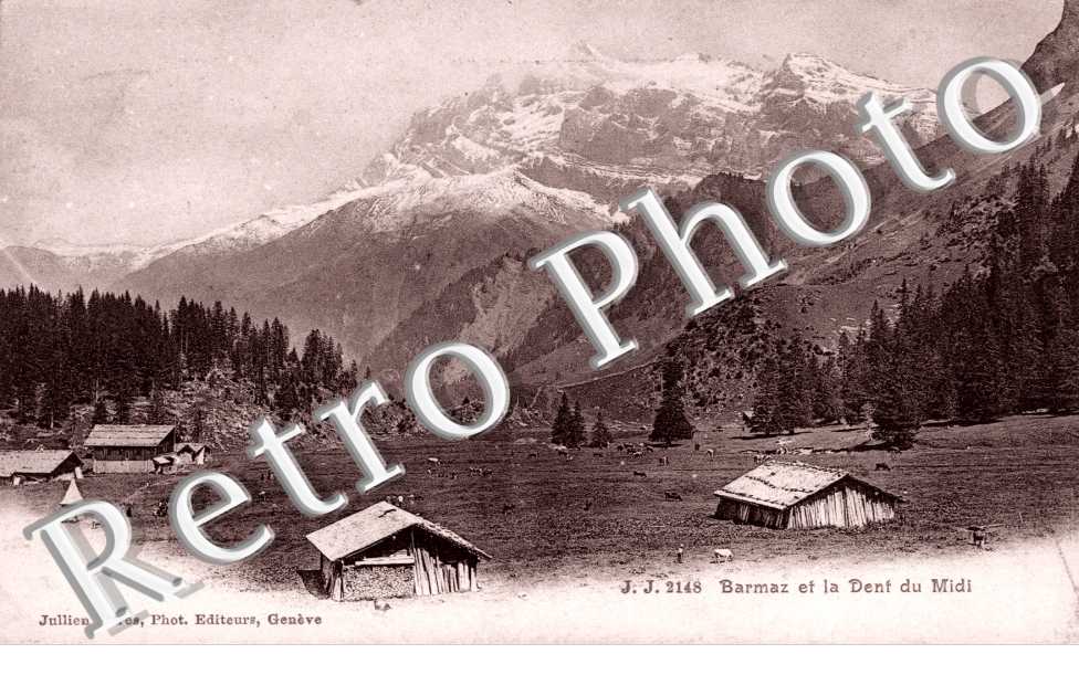 Vue generale et la Dent du Midi