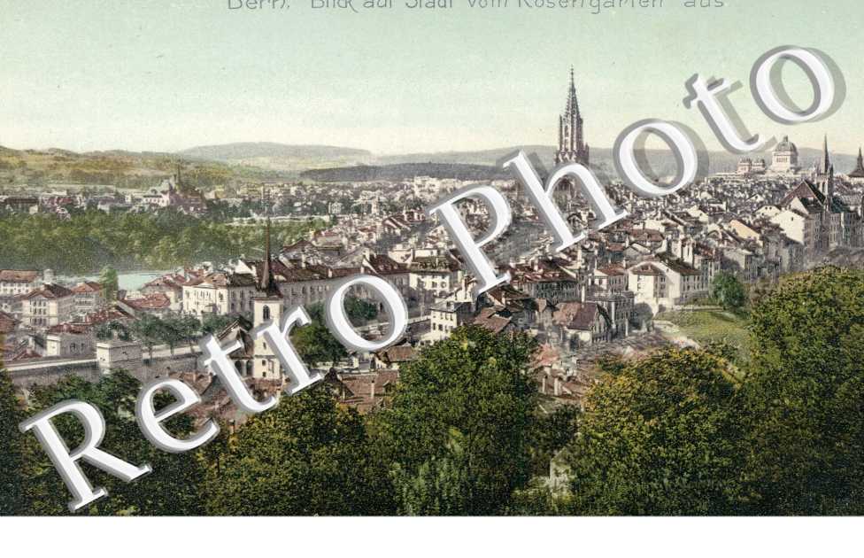 Blick auf Stadt vom Rosengarten aus. Vue de la ville depuis la roseraie