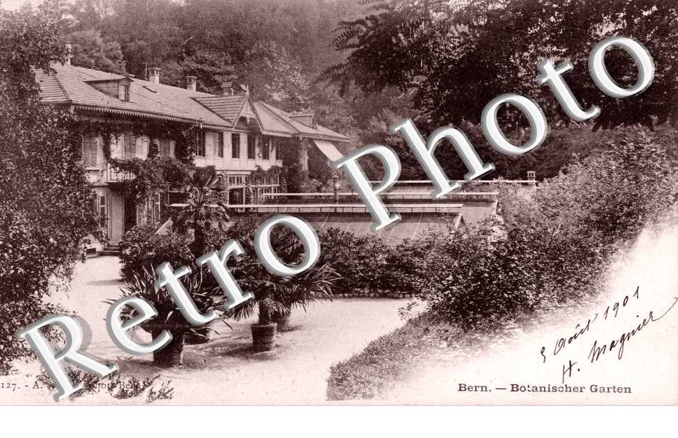 Botanischer garten. Jardin botanique