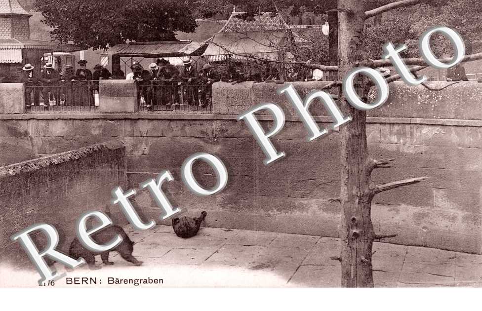 Der Barengraben. La fosse aux ours