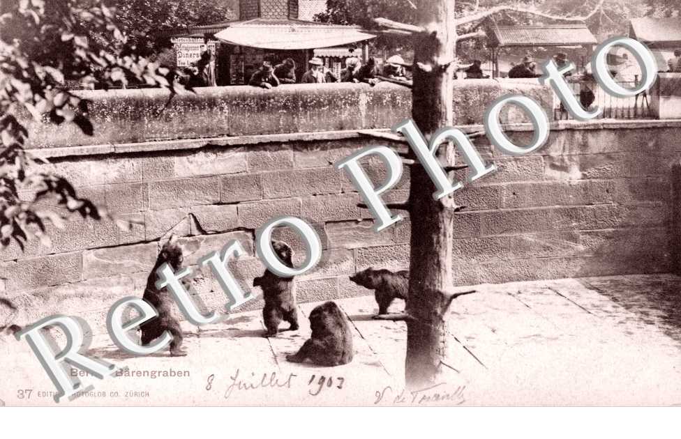 Der Barengraben. La fosse aux ours