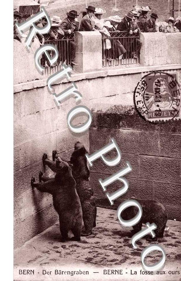 Der Barengraben. La fosse aux ours