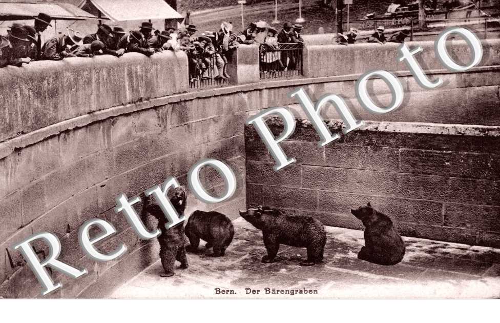 Der Barengraben. La fosse aux ours