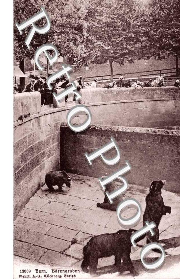 Der Barengraben. La fosse aux ours