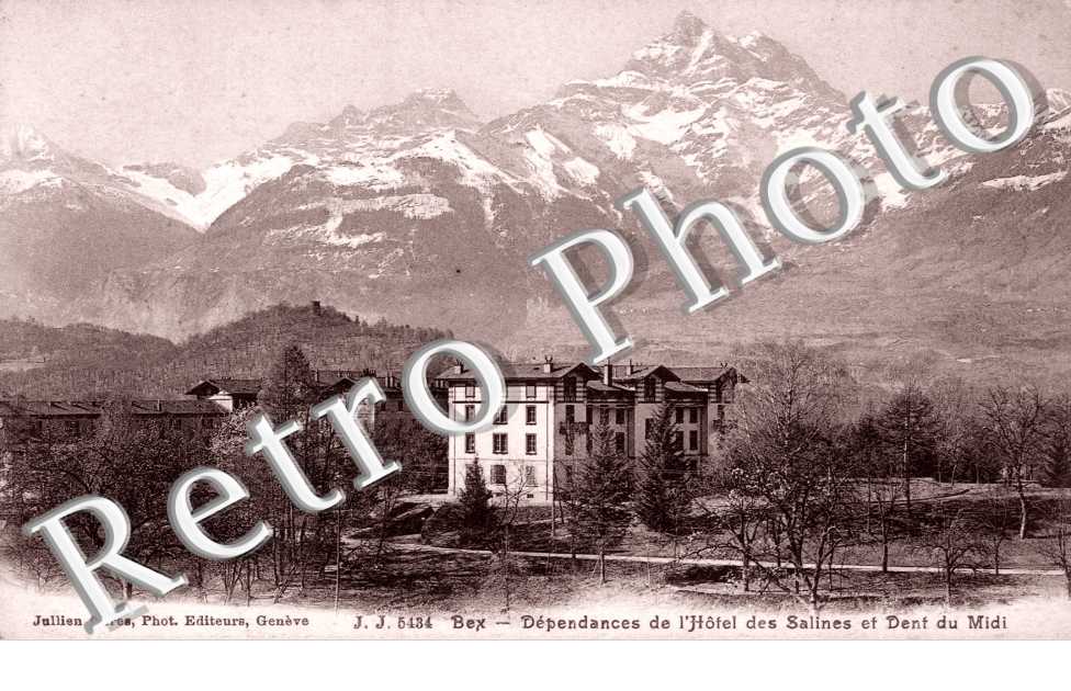 Dependances de l'Hotel des Salines et Dent du Midi