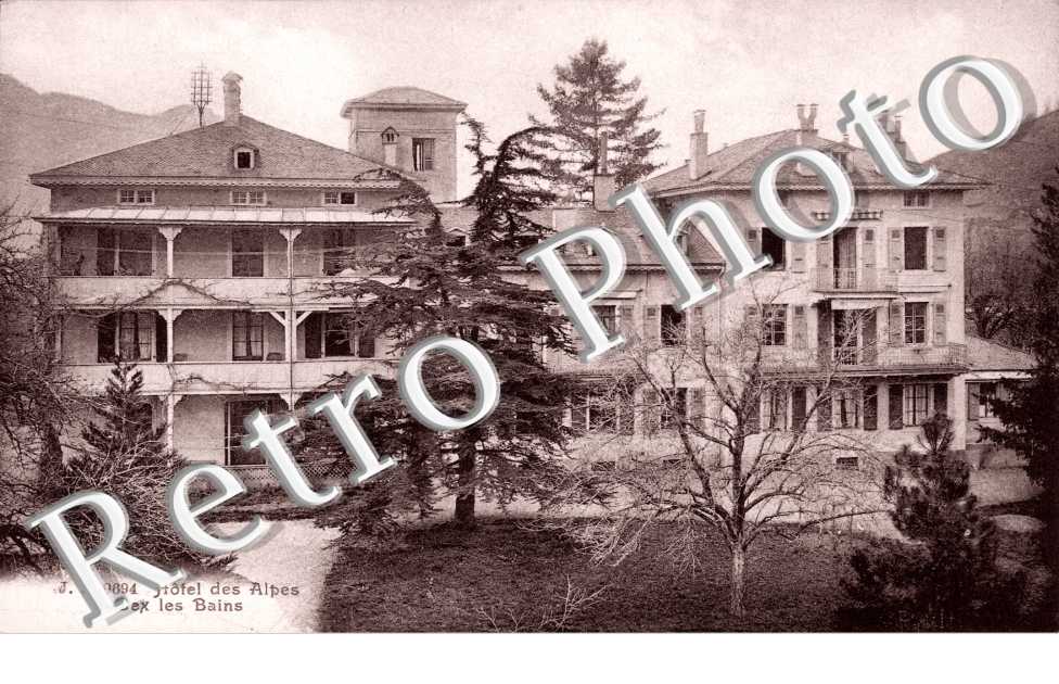 Hotel des Alpes