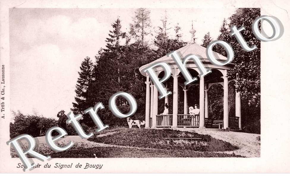 Souvenir du signal