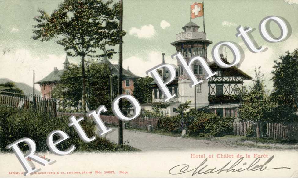 Hotel et chalet de la foret