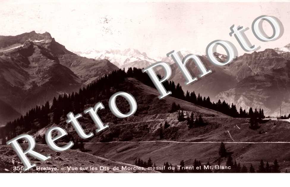 Vue sur les Dts de morcles, massif du Trient et Mont Blanc