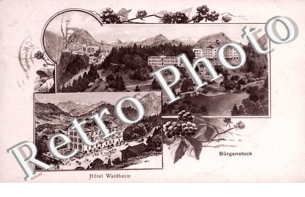 Hotel Waldheim