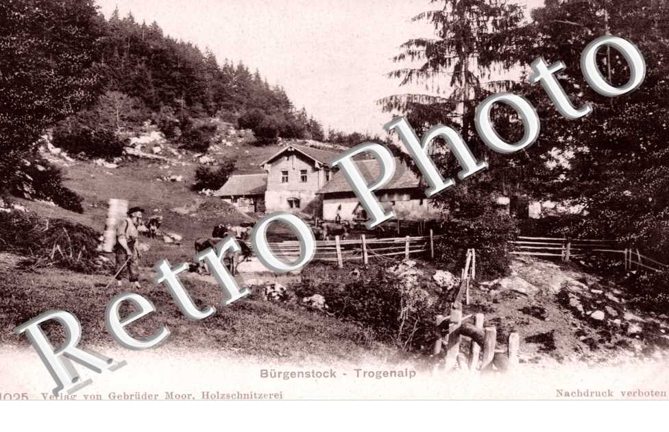 Trogenalp