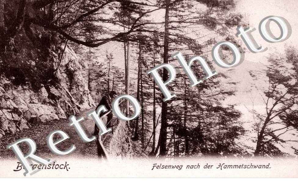 Felsenweg nach der Hammetschwand