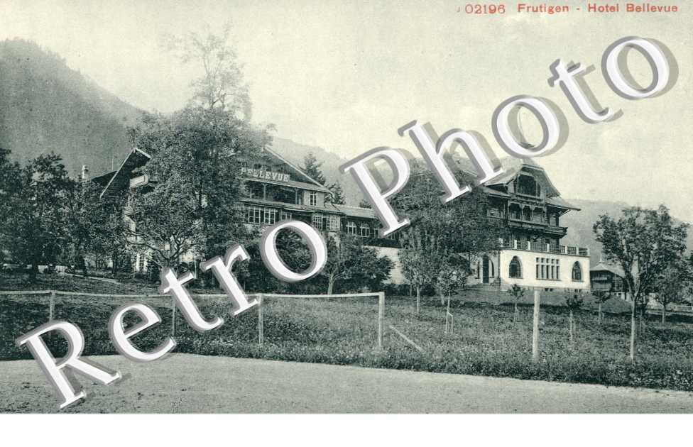 Hotel Bellevue