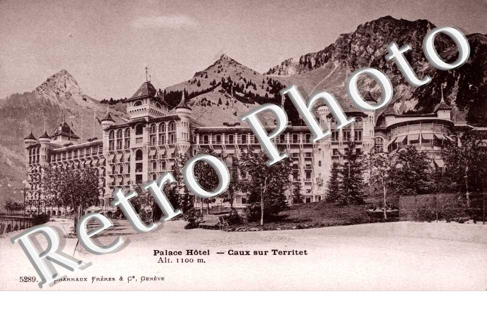 Palace Hotel