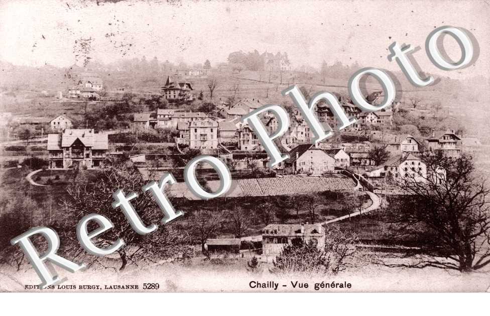 Vue Générale