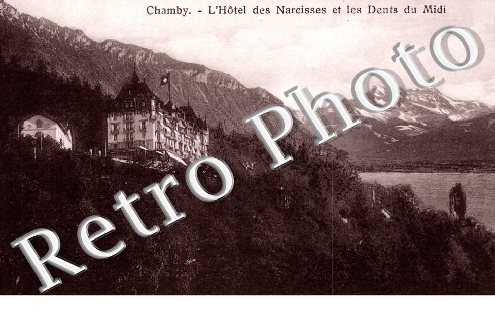 l'Hotel des Narcisses