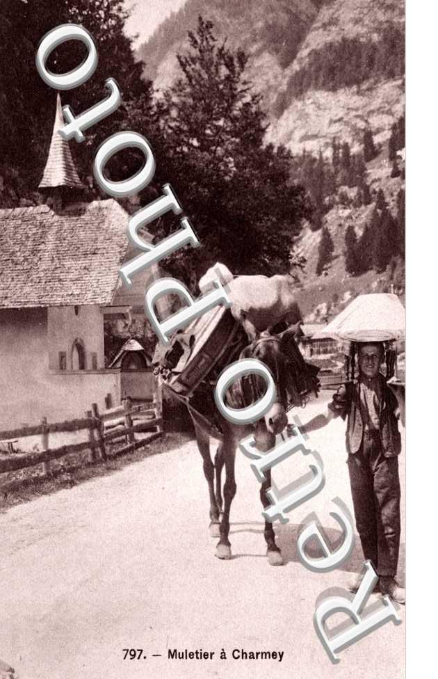 Muletier