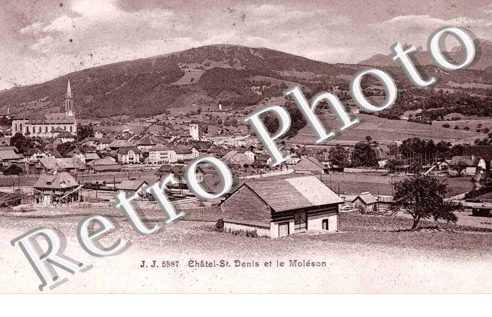 Chatel-Saint-Denis et le Moleson