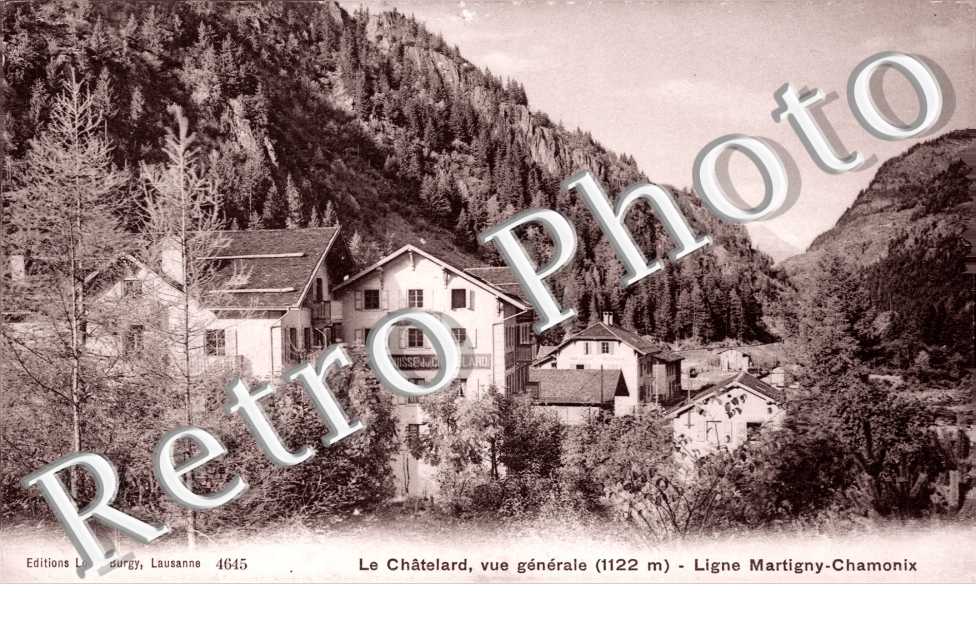 Vue generale - ligne Martigny-chamonix